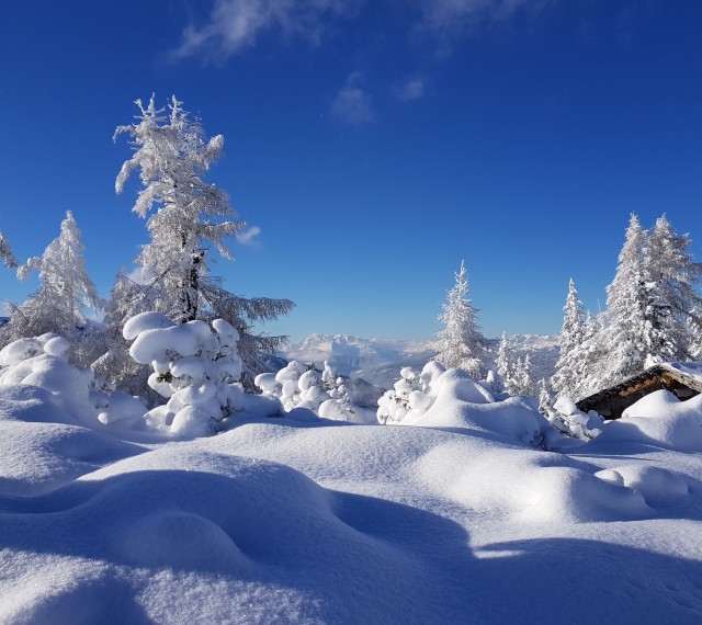 Hochwurzen im tiefen Winter